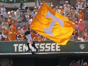 Tennessee Vanderbilt Smokey