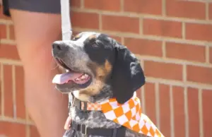 tennessee football recruiting